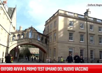 Ebola Bundibugyo, a Oxford primo test umano del vaccino