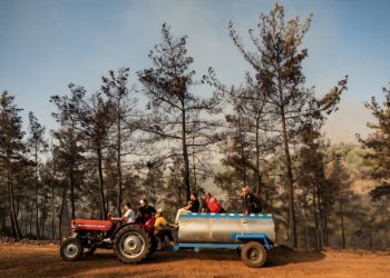 Incendi in Turchia, centinaia evacuati sulle coste turistiche