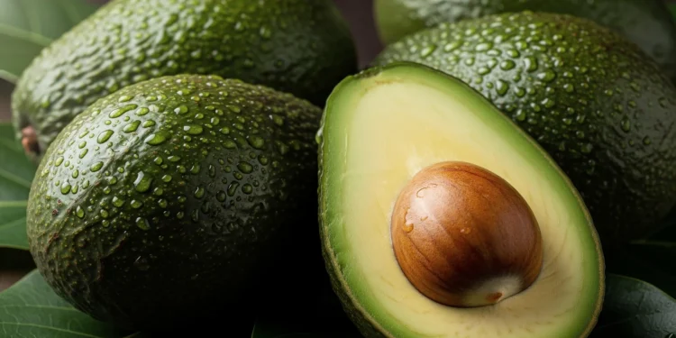 Avocado quotidiano, cala un indicatore del rischio cardiaco