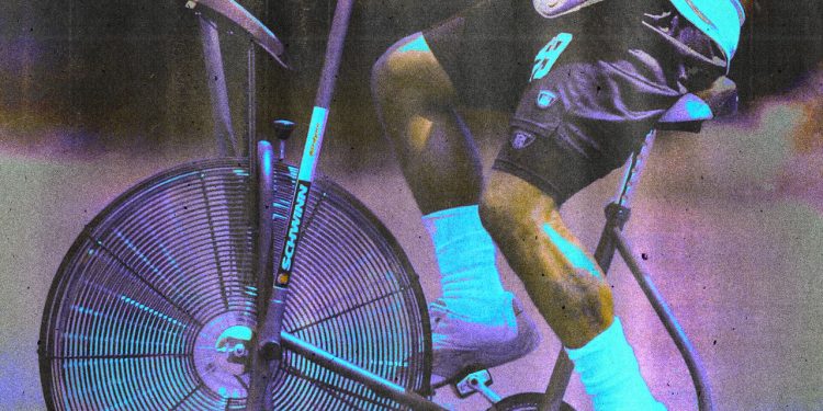 Cardio a basso impatto: cinque opzioni secondo gli esperti