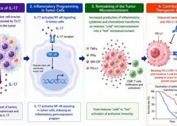 Tumore ovarico, IL-17 può orientare l’immunoterapia